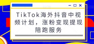 TikTok海外抖音中视频计划,涨粉变现提现陪跑服务-小鸿资源库
