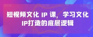 短视频文化IP课,学习文化IP打造的底层逻辑-小鸿资源库