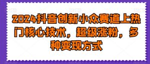 2024抖音创新小众赛道上热门核心技术，超级涨粉，多种变现方式【揭秘】-小鸿资源库
