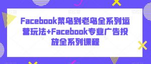 Facebook菜鸟到老鸟全系列运营玩法+Facebook专业广告投放全系列课程-小鸿资源库