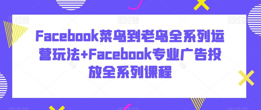 Facebook菜鸟到老鸟全系列运营玩法+Facebook专业广告投放全系列课程-小鸿资源库