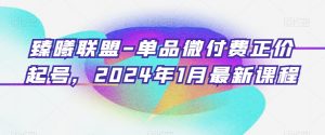 臻曦联盟-单品微付费正价起号，2024年1月最新课程-小鸿资源库