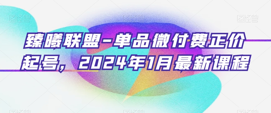 臻曦联盟-单品微付费正价起号，2024年1月最新课程-小鸿资源库