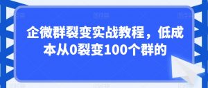 企微群裂变实战教程，低成本从0裂变100个群的-小鸿资源库