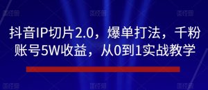 抖音IP切片2.0，爆单打法，千粉账号5W收益，从0到1实战教学【揭秘】-小鸿资源库
