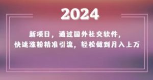 2024新项目，通过国外社交软件，快速涨粉精准引流，轻松做到月入上万【揭秘】-小鸿资源库