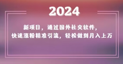 2024新项目，通过国外社交软件，快速涨粉精准引流，轻松做到月入上万【揭秘】-小鸿资源库
