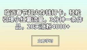 临近春节超火存钱打卡，轻松引爆小红薯流量，3分钟一条作品，20天涨粉4000+【揭秘】-小鸿资源库