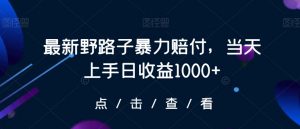 最新野路子暴力赔付，当天上手日收益1000+【仅揭秘】-小鸿资源库
