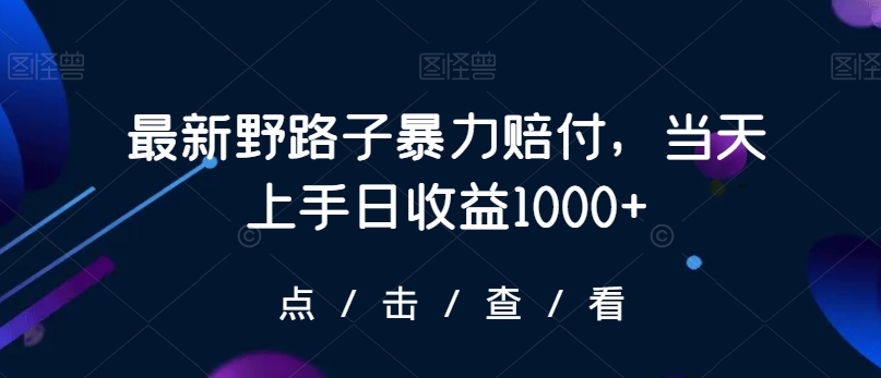 最新野路子暴力赔付，当天上手日收益1000+【仅揭秘】-小鸿资源库