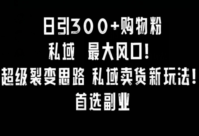 日引300+购物粉,超级裂变思路,私域卖货新玩法,小红书首选副业【揭秘】-小鸿资源库
