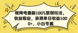 视频号最新100%原创玩法，收益稳定，亲测单日收益1000+，小白专属【揭秘】-小鸿资源库