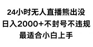 快手24小时无人直播熊出没,不封直播间,不违规,日入2000+,最适合小白上手,保姆式教学【揭秘】-小鸿资源库