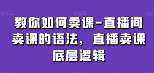 教你如何卖课-直播间卖课的语法,直播卖课底层逻辑-小鸿资源库