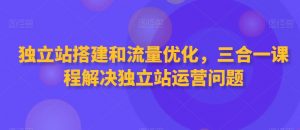 独立站搭建和流量优化，三合一课程解决独立站运营问题-小鸿资源库