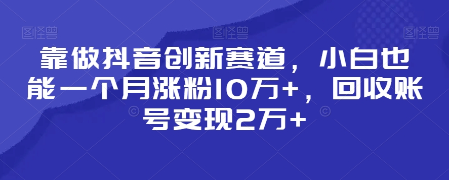 靠做抖音创新赛道，小白也能一个月涨粉10万+，回收账号变现2万+【揭秘】-小鸿资源库