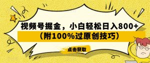 视频号掘金，小白轻松日入800+（附100%过原创技巧）【揭秘】-小鸿资源库