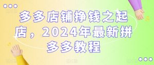 多多店铺挣钱之起店，2024年最新拼多多教程-小鸿资源库