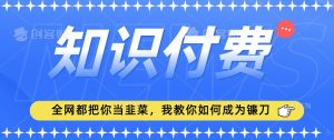2024最新知识付费项目，小白也能轻松入局，全网都在教你做项目，我教你做镰刀【揭秘】-小鸿资源库
