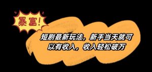 短剧最新玩法,新手当天就可以有收入,收入轻松破万【揭秘】-小鸿资源库