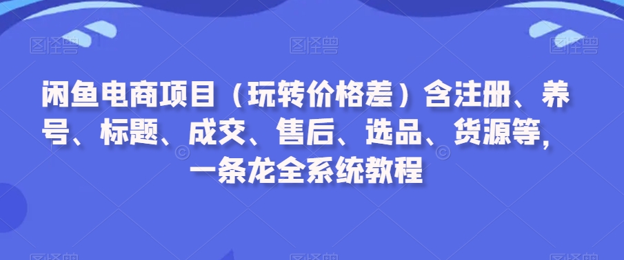 闲鱼电商项目(玩转价格差)含注册、养号、标题、成交、售后、选品、货源等,一条龙全系统教程-小鸿资源库