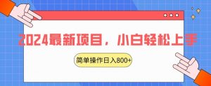 2024最新项目，红娘项目，简单操作轻松日入800+【揭秘】-小鸿资源库