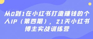 从0到1在小红书打造赚钱的个人IP（第四期），21天小红书博主实战训练营-小鸿资源库