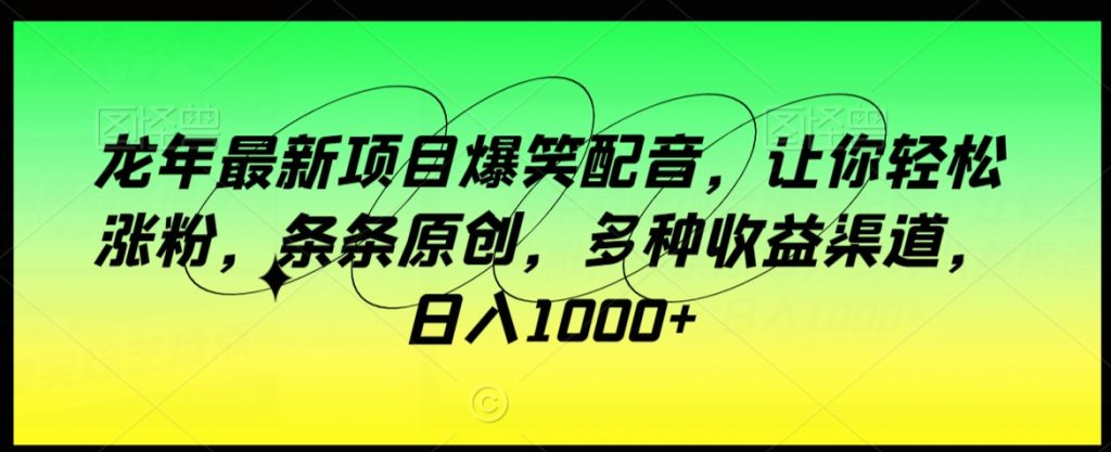 龙年最新项目爆笑配音，让你轻松涨粉，条条原创，多种收益渠道，日入1000+【揭秘】-小鸿资源库