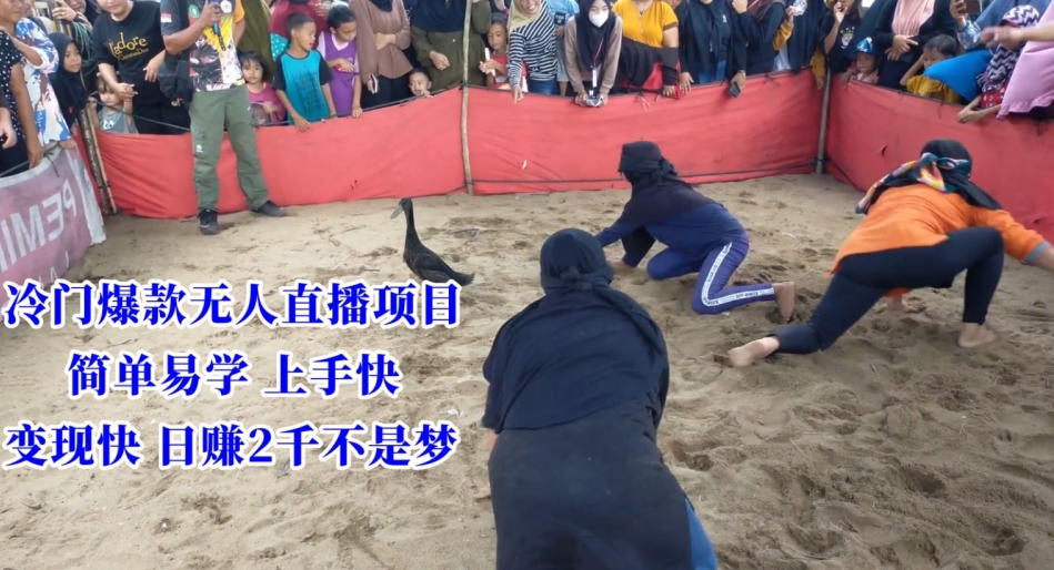 冷门爆款无人直播项目，简单易学上手快，变现快日赚2千不是梦【揭秘】-小鸿资源库