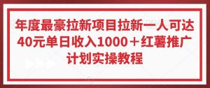 年度最豪拉新项目拉新一人可达40元单日收入1000＋红薯推广计划实操教程【揭秘】-小鸿资源库