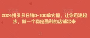 2024拼多多日销0-100单实操,让你迅速起步,做一个稳定盈利的店铺出来-小鸿资源库