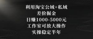 利用淘宝公域+私域差价掘金，日赚1000-5000元，工作室可放大操作，实操稳定半年【揭秘】-小鸿资源库