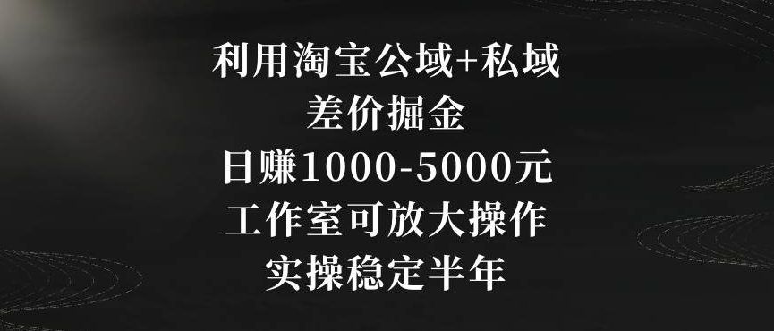 利用淘宝公域+私域差价掘金,日赚1000-5000元,工作室可放大操作,实操稳定半年【揭秘】-小鸿资源库