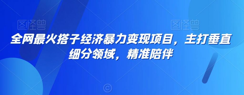 全网最火搭子经济暴力变现项目，主打垂直细分领域，精准陪伴【揭秘】-小鸿资源库