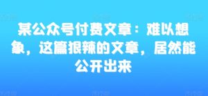 某公众号付费文章：难以想象，这篇狠辣的文章，居然能公开出来-小鸿资源库