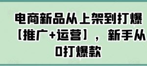 电商新品从上架到打爆【推广+运营】，新手从0打爆款-小鸿资源库