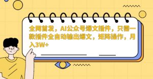 全网首发，AI公众号爆文插件，只需一款插件全自动输出爆文，矩阵操作，月入3W+【揭秘】-小鸿资源库