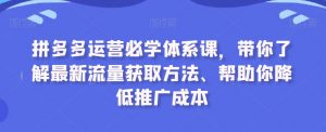 拼多多运营必学体系课，带你了解最新流量获取方法、帮助你降低推广成本-小鸿资源库