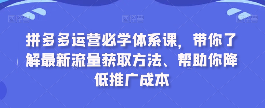 拼多多运营必学体系课，带你了解最新流量获取方法、帮助你降低推广成本-小鸿资源库