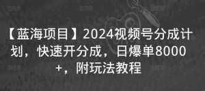 【蓝海项目】2024视频号分成计划，快速开分成，日爆单8000+，附玩法教程-小鸿资源库