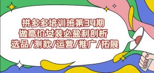 拼多多培训班第34期:做高价女装必盈利剖析选品/测款/运营/推广/拓展-小鸿资源库