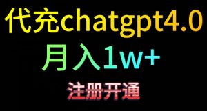 代充chatgpt4，日入500+，精准引流，暴力变现【揭秘】-小鸿资源库