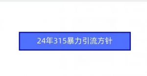 24年315暴力引流方针-小鸿资源库