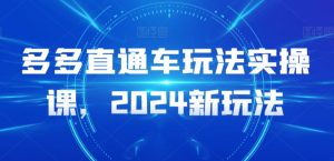 多多直通车玩法实操课，2024新玩法-小鸿资源库