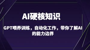 AI硬核知识-GPT喂养训练,自动化工作,带你了解AI的能力边界(10节课)-小鸿资源库