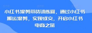 小红书混剪带货训练营，通过小红书搬运混剪，实现成交，开启小红书电商之旅-小鸿资源库