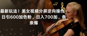 最新玩法！美女视频分屏逆向操作~日引600加色粉，日入700加，条条爆【揭秘】-小鸿资源库
