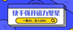 信息差赚钱项目，快手强开磁力聚星，一单20，日入200+【揭秘】-小鸿资源库