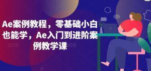Ae案例教程，零基础小白也能学，Ae入门到进阶案例教学课-小鸿资源库