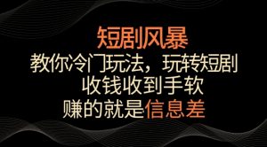 短剧风暴，教你冷门玩法，玩转短剧，收钱收到手软【揭秘】-小鸿资源库